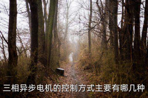 三相異步電機(jī)的控制方式主要有哪幾種
