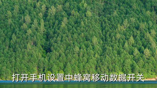 打開手機設置中蜂窩移動數(shù)據(jù)開關