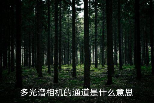 多光譜相機的通道是什么意思