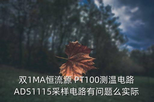 雙1MA恒流源 PT100測溫電路ADS1115采樣電路有問題么實(shí)際