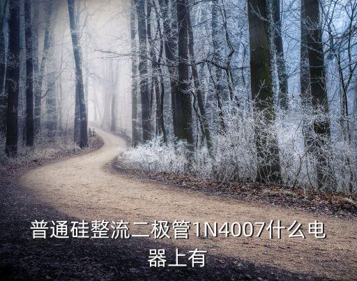普通硅整流二極管1N4007什么電器上有