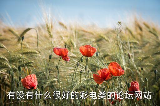 有沒有什么很好的彩電類的論壇網(wǎng)站