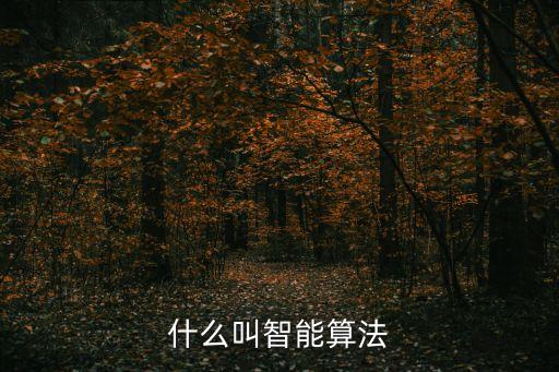 智能算法，什么叫智能算法