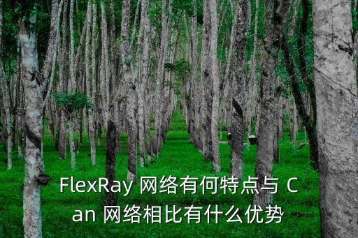 FlexRay 網(wǎng)絡(luò)有何特點(diǎn)與 Can 網(wǎng)絡(luò)相比有什么優(yōu)勢