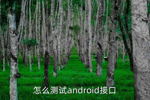 怎么測(cè)試android接口