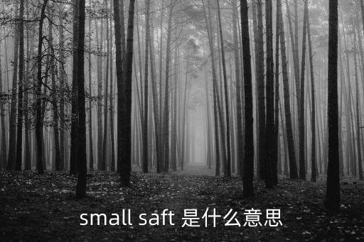 small saft 是什么意思