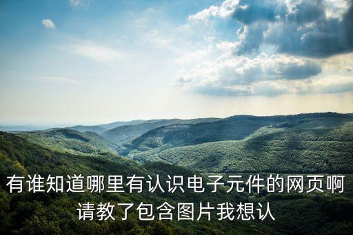 電子元件網(wǎng)，有誰知道哪里有認識電子元件的網(wǎng)頁啊請教了包含圖片我想認