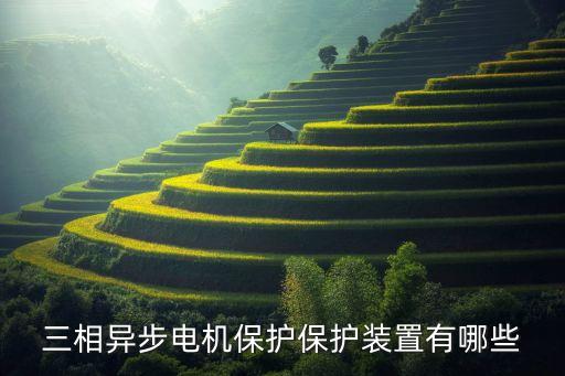電動(dòng)機(jī)保護(hù)裝置，三相異步電機(jī)保護(hù)保護(hù)裝置有哪些