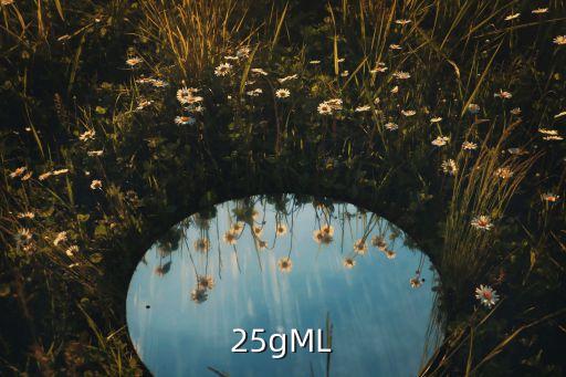 25gML