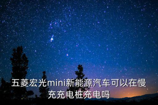慢充充電樁，新能源汽車充電樁多少錢在車上隨車使用使用電源220伏慢充  搜