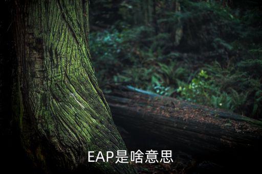 sfp是什么意思，sfp 是什么材料