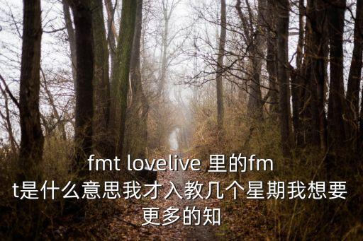 fmt，fmt lovelive 里的fmt是什么意思我才入教幾個(gè)星期我想要更多的知