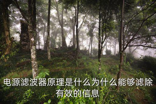 電源濾波器原理是什么為什么能夠?yàn)V除有效的信息