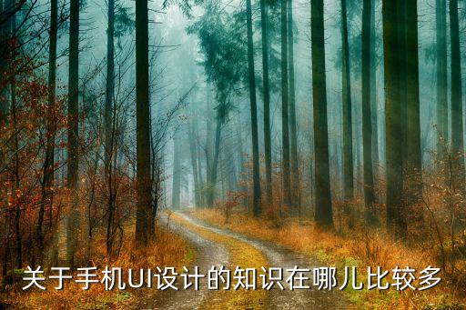 ui網(wǎng)站，關(guān)于手機(jī)UI設(shè)計(jì)的知識(shí)在哪兒比較多