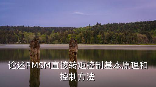 論述PMSM直接轉矩控制基本原理和控制方法