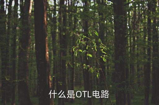 OTL電路，什么是OTL電路