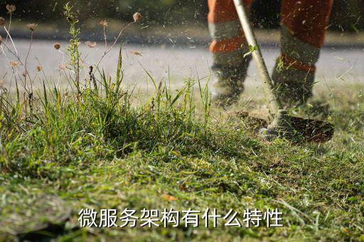 微服務(wù)架構(gòu)有什么特性