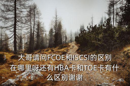 大哥請(qǐng)問FCOE和ISCSI的區(qū)別在哪里呀還有HBA卡和TOE卡有什么區(qū)別謝謝