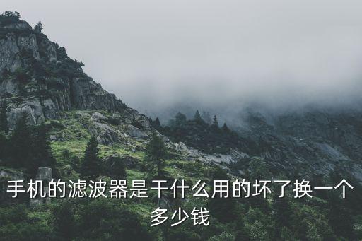 手機(jī)的濾波器是干什么用的壞了換一個多少錢