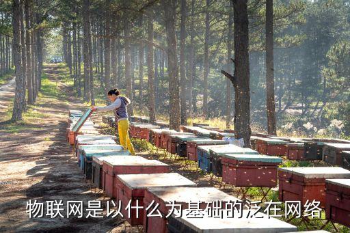 泛在網(wǎng)，物聯(lián)網(wǎng)與互聯(lián)網(wǎng)泛在網(wǎng)的關(guān)系是什么
