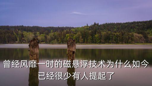 磁懸浮技術(shù)，磁懸浮理論是什么
