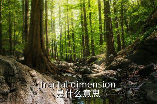 分形維數(shù)，什么是分形維數(shù)Hausdorff維數(shù)與Minkowski維數(shù)有什么區(qū)別