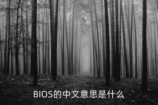 BIOS的中文意思是什么