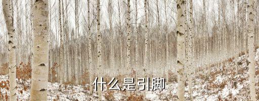 什么是引腳
