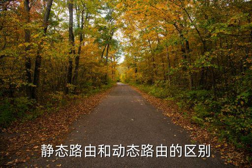 靜態(tài)路由，什么是靜態(tài)路由