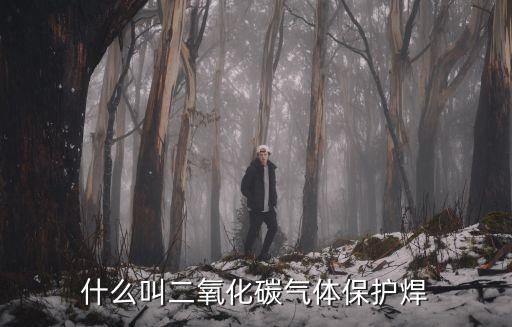 什么叫二氧化碳?xì)怏w保護(hù)焊