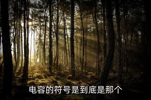 電容的符號是到底是那個