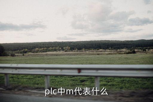 plc中m是什么，plc m 是什么呀1