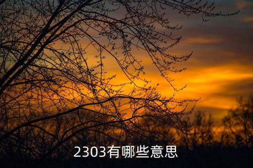 2303有哪些意思