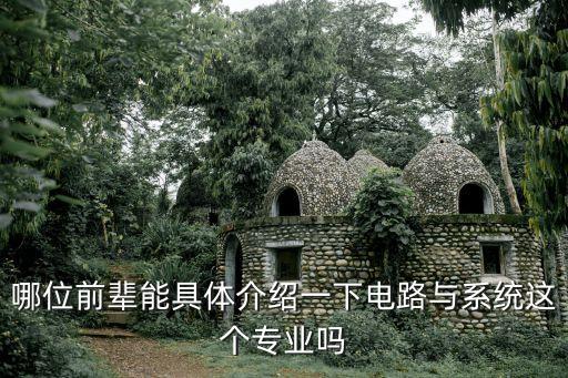 哪位前輩能具體介紹一下電路與系統(tǒng)這個(gè)專業(yè)嗎