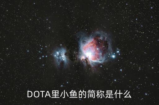 slark，DOTA英雄的字母簡(jiǎn)稱