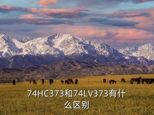74HC373和74LV373有什么區(qū)別