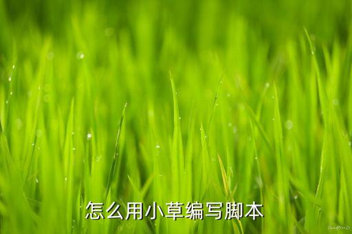 小草論壇，怎么用小草編寫腳本