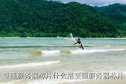 服務(wù)器芯片，至強服務(wù)器芯片什么是至強服務(wù)器芯片