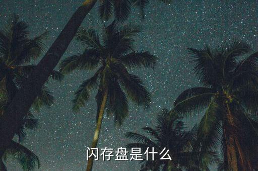 閃存盤是什么