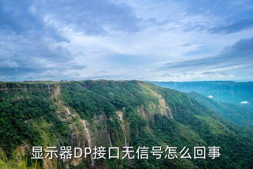 顯示器DP接口無(wú)信號(hào)怎么回事