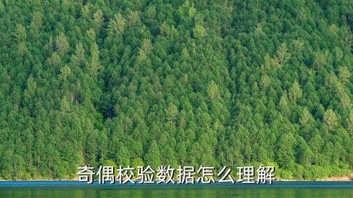 奇偶校驗(yàn)數(shù)據(jù)怎么理解