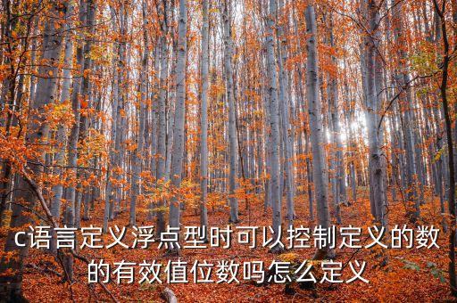 c語言定義浮點型時可以控制定義的數(shù)的有效值位數(shù)嗎怎么定義