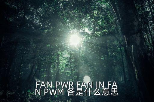 pwm是什么，F(xiàn)AN PWR FAN IN FAN PWM 各是什么意思