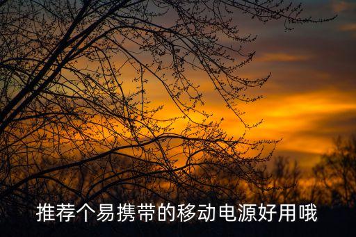 推薦個易攜帶的移動電源好用哦