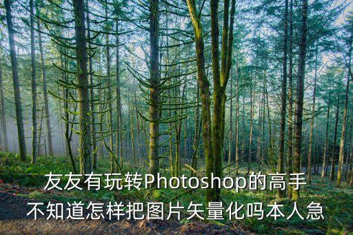 友友有玩轉(zhuǎn)Photoshop的高手不知道怎樣把圖片矢量化嗎本人急
