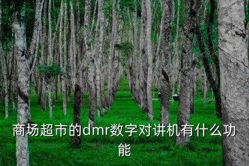 商場超市的dmr數(shù)字對講機有什么功能