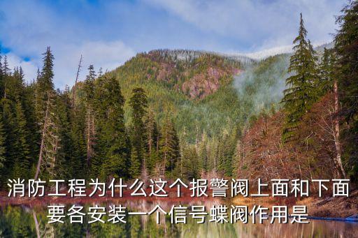 消防工程為什么這個報警閥上面和下面要各安裝一個信號蝶閥作用是