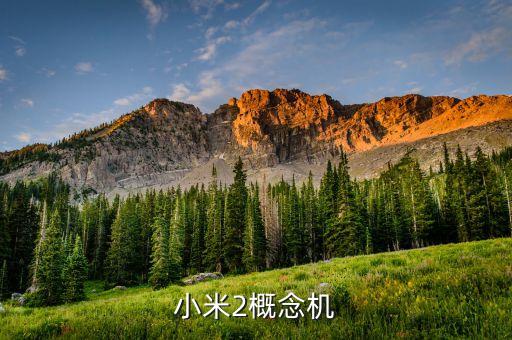 小米2概念機