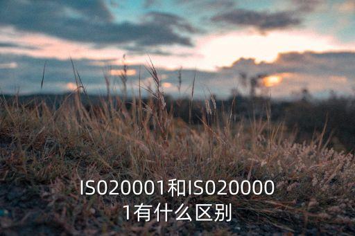 IS020001和IS0200001有什么區(qū)別