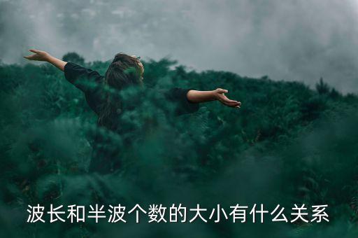 波長和半波個數(shù)的大小有什么關系